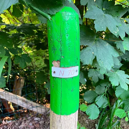 Wasboerderij Ubbergen Oda ve Kahvaltı