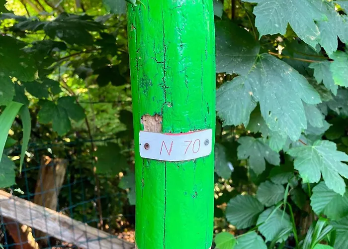 Wasboerderij Ubbergen Bed & Breakfast